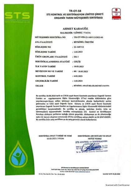 2024/25 3 LT Natürel Sızma Zeytinyağı Boztepe Soğuk Sıkım Filtresiz